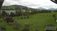 Archiv Foto Irrsee Oberösterreich: Webcam Westufer 11:00