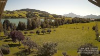 Archiv Foto Irrsee Oberösterreich: Webcam Westufer 11:00