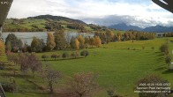 Archiv Foto Irrsee Oberösterreich: Webcam Westufer 13:00
