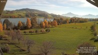 Archiv Foto Irrsee Oberösterreich: Webcam Westufer 11:00