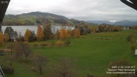 Archiv Foto Irrsee Oberösterreich: Webcam Westufer 11:00