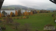 Archiv Foto Irrsee Oberösterreich: Webcam Westufer 13:00