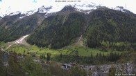Archived image Webcam Lötschental Valley - View Wilerhorn and Bietschhorn 11:00