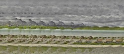 Archiv Foto Webcam Engelberg: Panoramablick auf den Trübsee 11:00