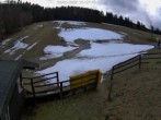 Archived image Webcam Willingen-Usseln: Emmet Ski Resort 13:00