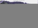 Archiv Foto Webcam Willingen-Usseln: Lift Emmet 05:00