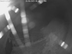 Archiv Foto Webcam Willingen-Usseln: Lift Emmet 23:00