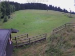 Archiv Foto Webcam Willingen-Usseln: Lift Emmet 11:00