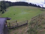 Archiv Foto Webcam Willingen-Usseln: Lift Emmet 13:00