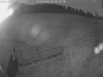 Archiv Foto Webcam Willingen-Usseln: Lift Emmet 03:00