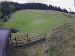 Archiv Foto Webcam Willingen-Usseln: Lift Emmet 11:00