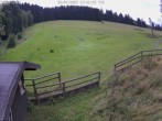 Archiv Foto Webcam Willingen-Usseln: Lift Emmet 11:00
