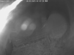 Archiv Foto Webcam Willingen-Usseln: Lift Emmet 01:00