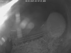 Archiv Foto Webcam Willingen-Usseln: Lift Emmet 01:00