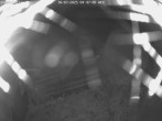 Archiv Foto Webcam Willingen-Usseln: Lift Emmet 03:00