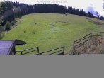 Archiv Foto Webcam Willingen-Usseln: Lift Emmet 11:00