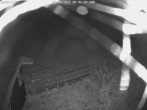 Archiv Foto Webcam Willingen-Usseln: Lift Emmet 23:00