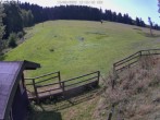 Archiv Foto Webcam Willingen-Usseln: Lift Emmet 11:00