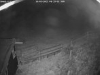 Archiv Foto Webcam Willingen-Usseln: Lift Emmet 03:00