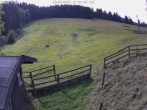 Archived image Webcam Willingen-Usseln: Emmet Ski Resort 11:00