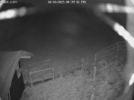 Archiv Foto Webcam Willingen-Usseln: Lift Emmet 23:00