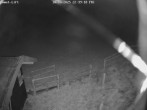 Archiv Foto Webcam Willingen-Usseln: Lift Emmet 21:00