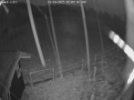 Archiv Foto Webcam Willingen-Usseln: Lift Emmet 06:00