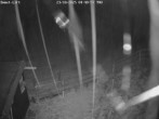 Archiv Foto Webcam Willingen-Usseln: Lift Emmet 03:00
