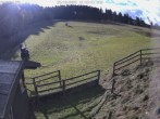 Archiv Foto Webcam Willingen-Usseln: Lift Emmet 11:00