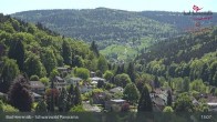 Archived image Webcam Hotel Schwarzwald Panorama in Bad Herrenalb 12:00