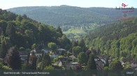 Archiv Foto Webcam Bad Herrenalb: Hotel Schwarzwald Panorama 08:00