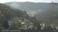 Archiv Foto Webcam Bad Herrenalb: Hotel Schwarzwald Panorama 08:00