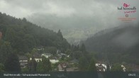 Archiv Foto Webcam Bad Herrenalb: Hotel Schwarzwald Panorama 08:00