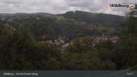 Archiv Foto Webcam Schafscheuernberg (Wildberg) 12:00