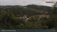 Archiv Foto Webcam Schafscheuernberg (Wildberg) 12:00