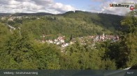 Archiv Foto Webcam Schafscheuernberg (Wildberg) 13:00