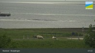 Archiv Foto Webcam Butjadingen Burhave - Nordsee 06:00
