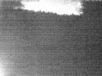 Archiv Foto Webcam Enzklösterle: Blick Skipiste 01:00