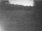 Archiv Foto Webcam Enzklösterle: Blick Skipiste 03:00