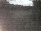 Archiv Foto Webcam Enzklösterle: Blick Skipiste 03:00