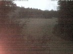 Archiv Foto Webcam Enzklösterle: Blick Skipiste 03:00