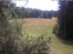 Archiv Foto Webcam Enzklösterle: Blick Skipiste 13:00