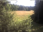 Archiv Foto Webcam Enzklösterle: Blick Skipiste 15:00