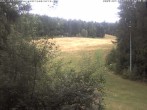 Archiv Foto Webcam Enzklösterle: Blick Skipiste 11:00