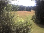Archiv Foto Webcam Enzklösterle: Blick Skipiste 13:00