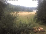 Archiv Foto Webcam Enzklösterle: Blick Skipiste 07:00