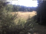 Archiv Foto Webcam Enzklösterle: Blick Skipiste 15:00