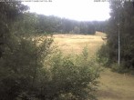 Archiv Foto Webcam Enzklösterle: Blick Skipiste 11:00