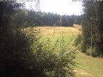 Archived image Webcam Enzklösterle: View Slope 11:00