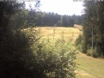 Archived image Webcam Enzklösterle: View Slope 11:00